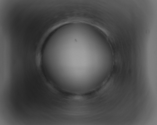X0000100891507200807081030