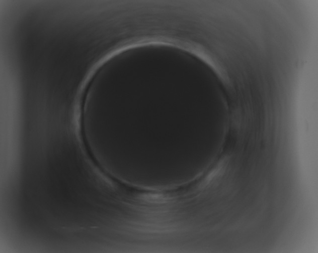 X0000100891508200807081030
