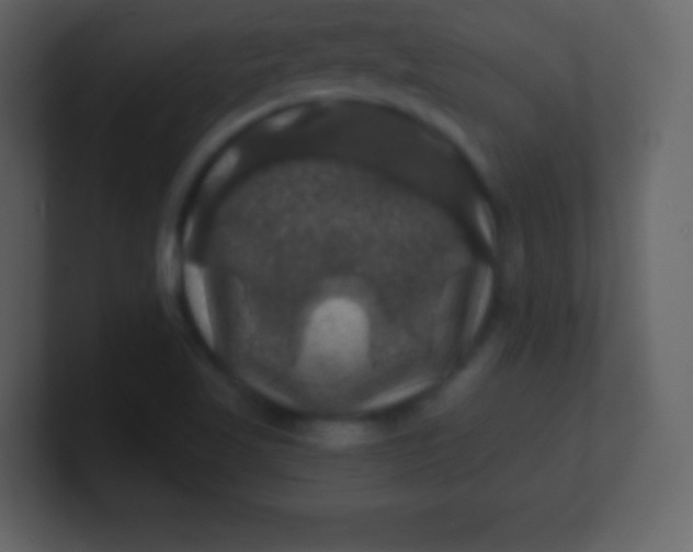 X0000100891509200807081030