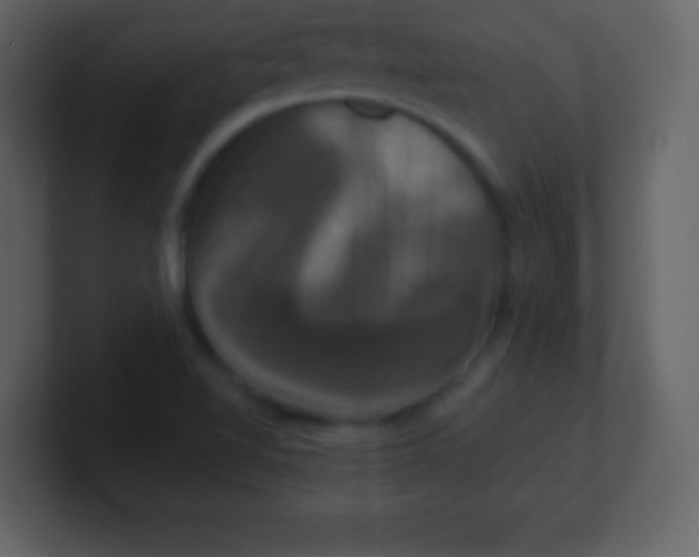 X0000100891510200807081030