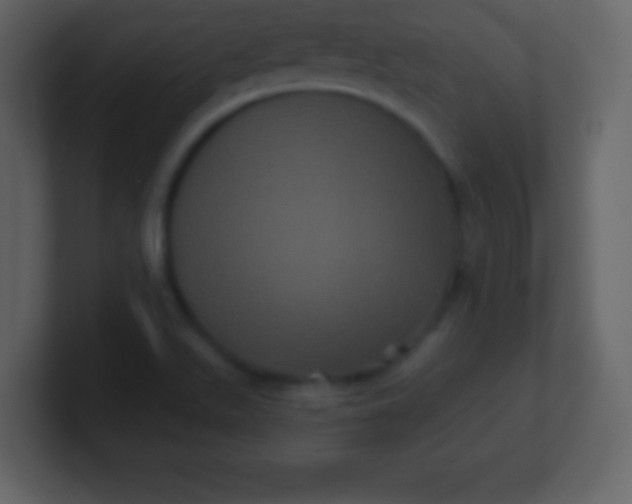 X0000100891511200807081030