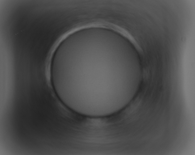 X0000100891512200807081030