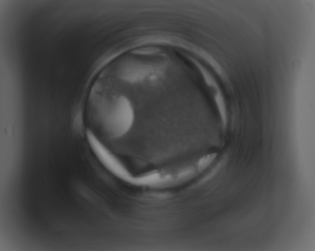 X0000100891513200807081030