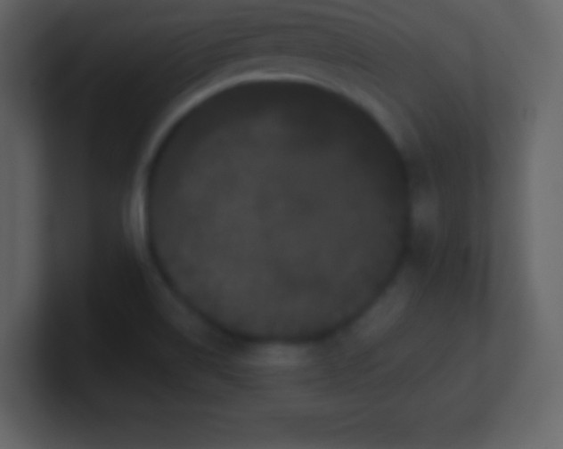 X0000100891514200807081030