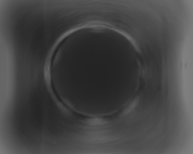 X0000100891515200807081030