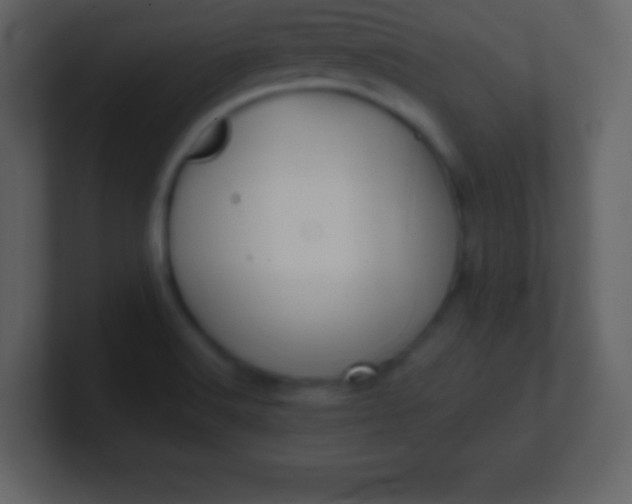 X0000100891516200807081030