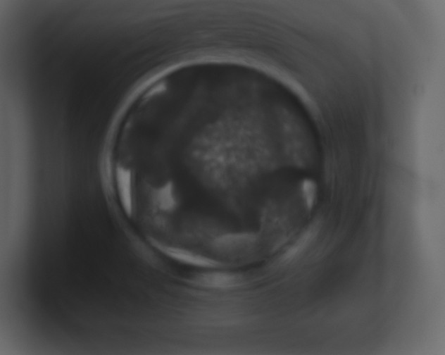 X0000100891517200807081030