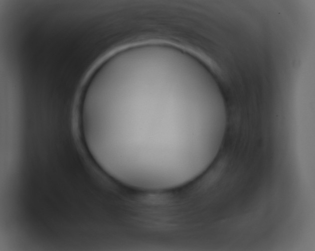 X0000100891518200807081030