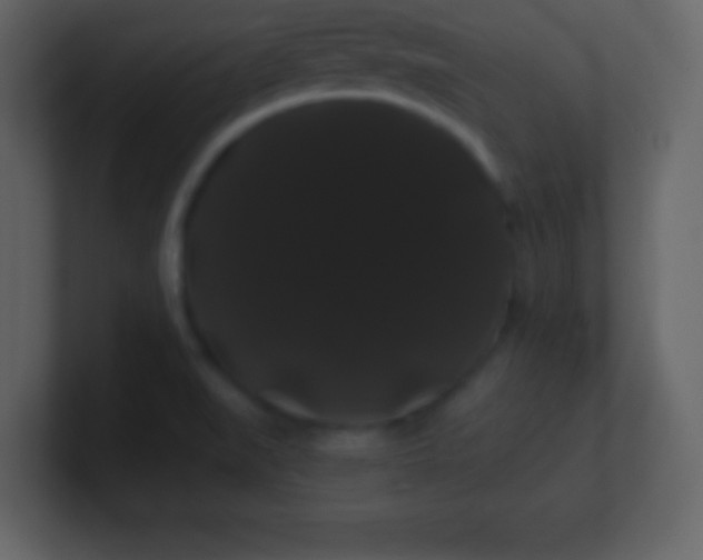 X0000100891519200807081030
