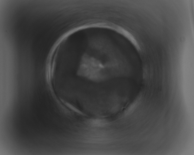X0000100891520200807081030