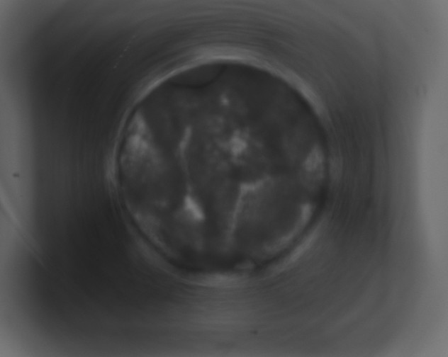 X0000100891521200807081030