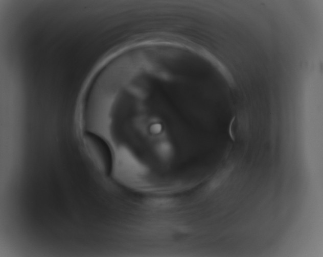 X0000100891522200807081030