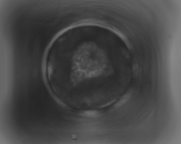 X0000100891523200807081030