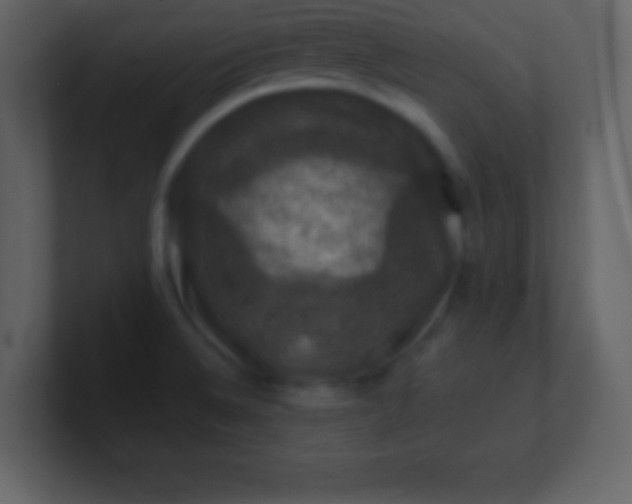 X0000100891524200807081030