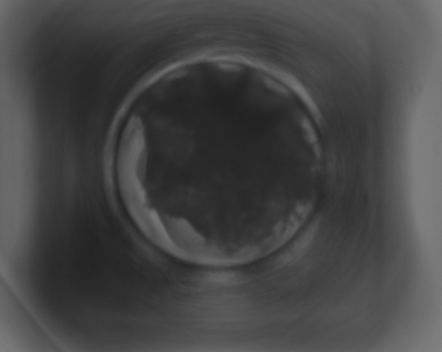 X0000100891525200807081030