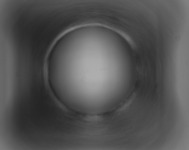 X0000100891526200807081030