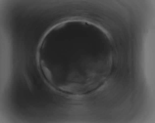 X0000100891527200807081030