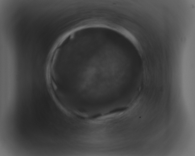 X0000100891528200807081030