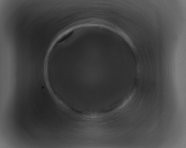 X0000100891530200807081030