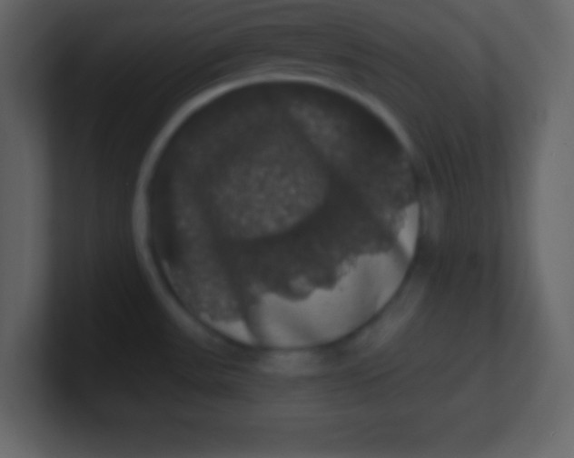 X0000100891531200807081030