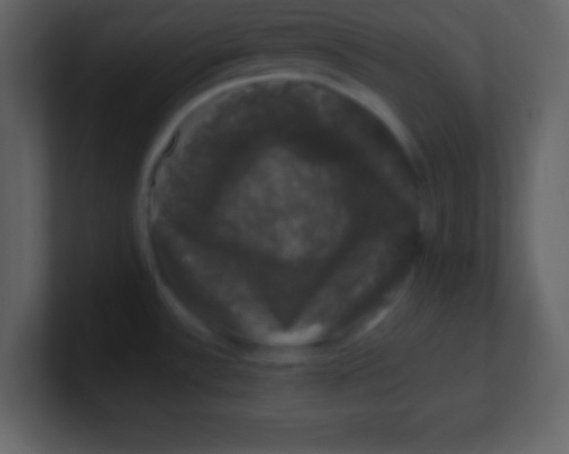 X0000100891532200807081030