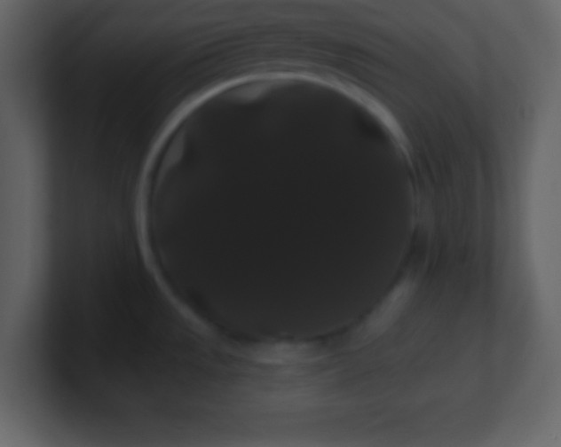 X0000100891533200807081030