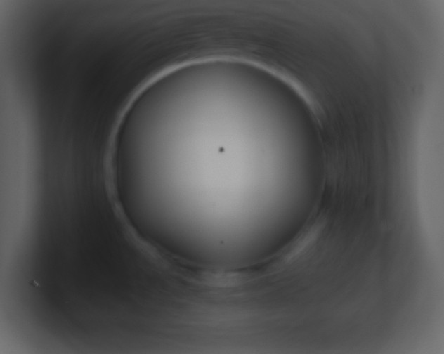 X0000100891534200807081030