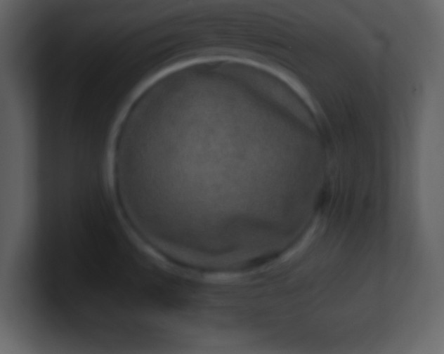 X0000100891535200807081030