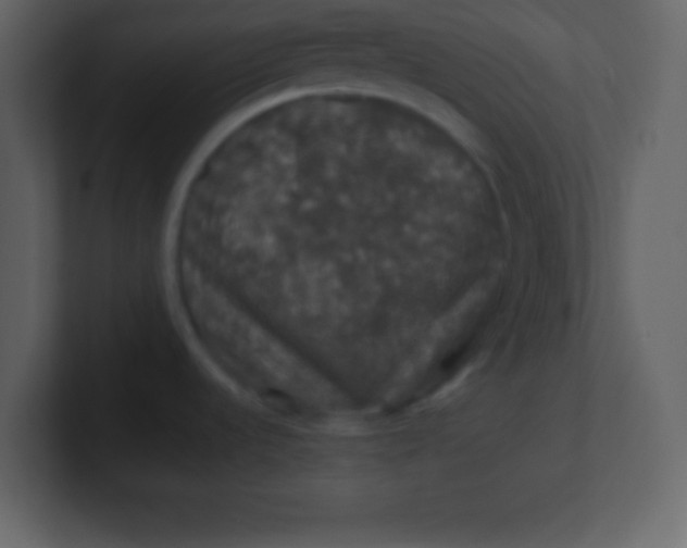 X0000100891536200807081030