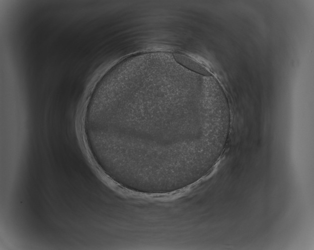 X0000100890001200807151107