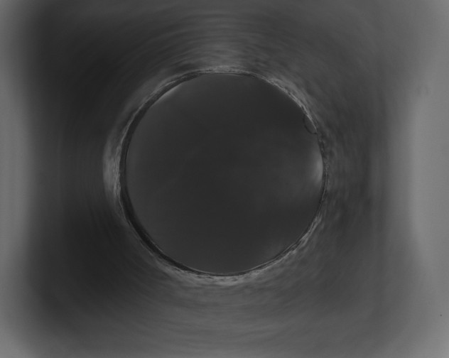 X0000100890002200807151107