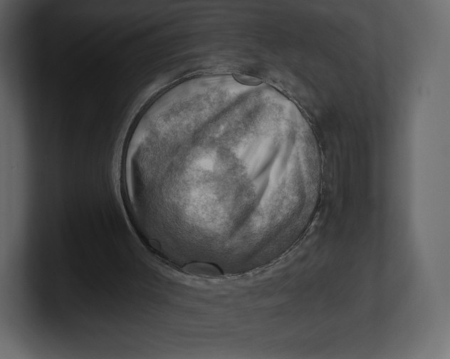 X0000100890003200807151107