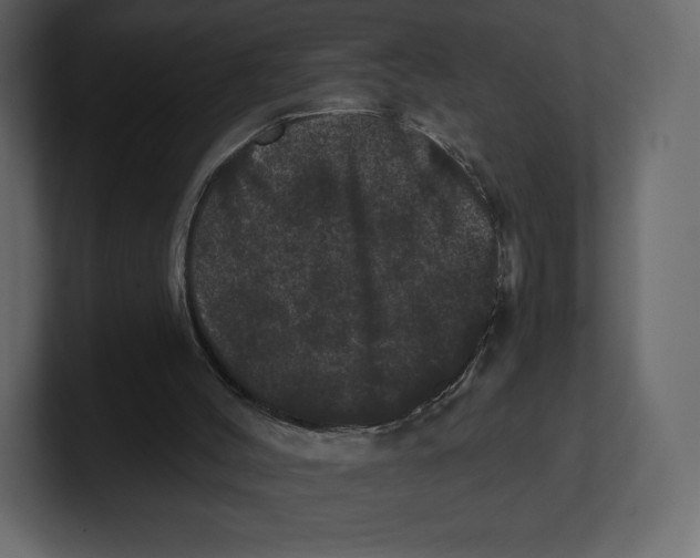 X0000100890004200807151107