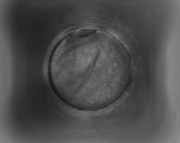 X0000100890007200807151107