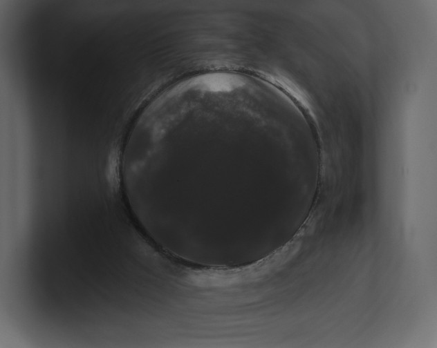 X0000100890009200807151107