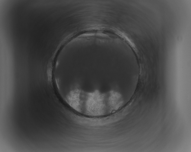 X0000100890010200807151107