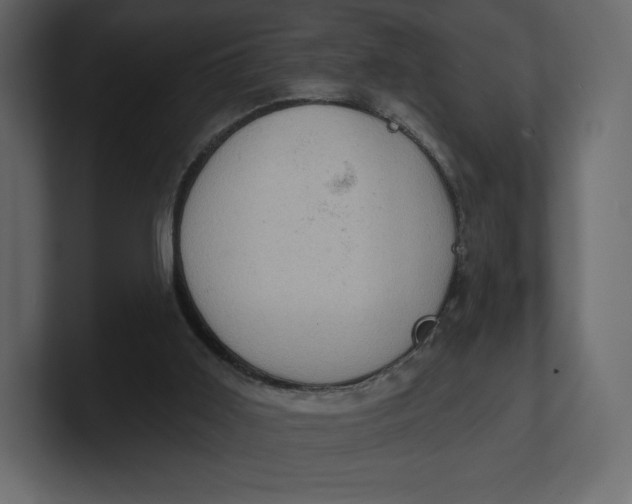 X0000100890011200807151107