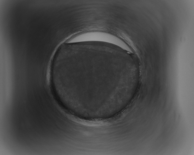 X0000100890012200807151107