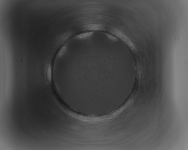 X0000100890014200807151107