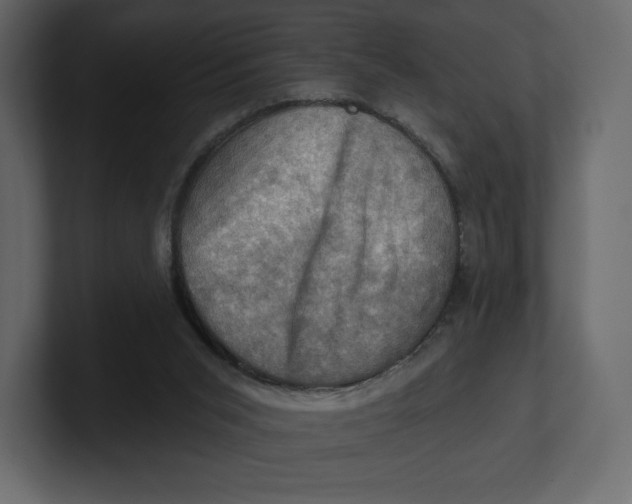 X0000100890015200807151107