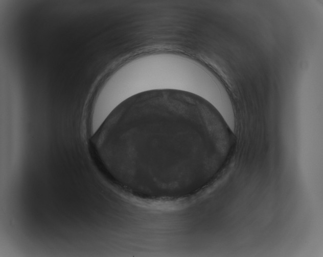 X0000100890016200807151107