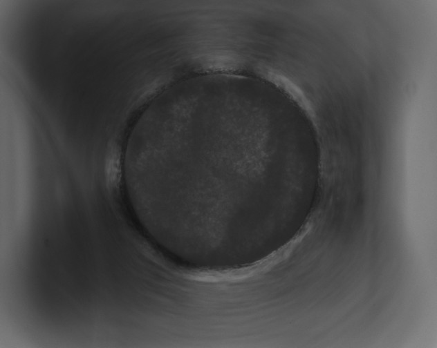 X0000100890017200807151107