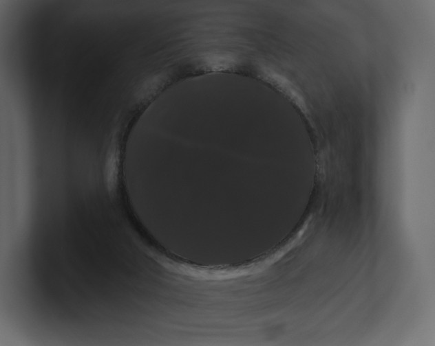 X0000100890018200807151106