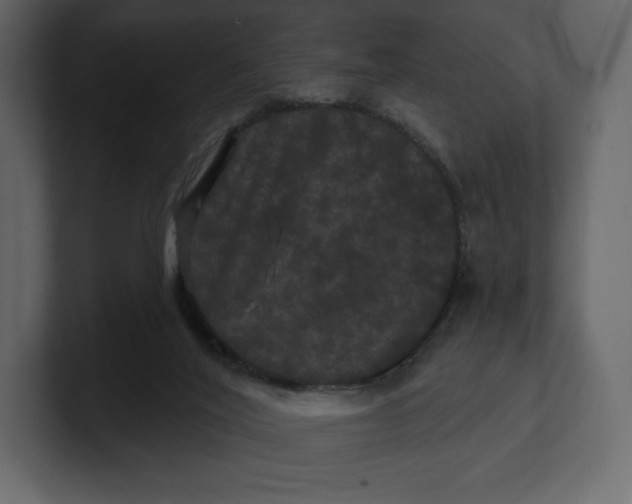 X0000100890020200807151106