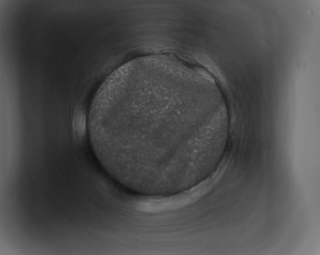 X0000100890021200807151106