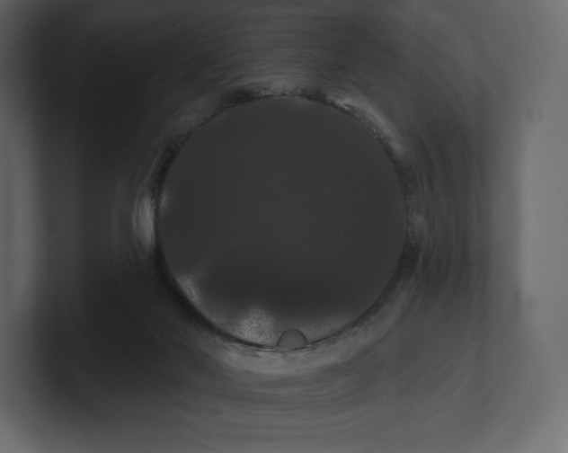 X0000100890022200807151106