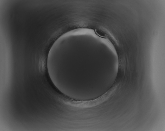 X0000100890023200807151106