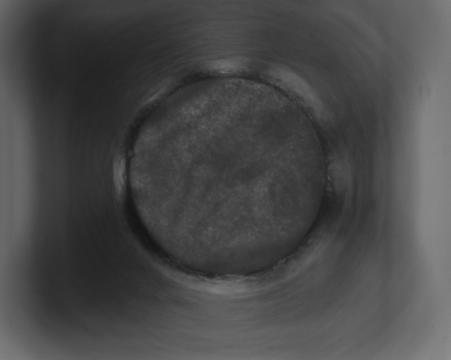 X0000100890024200807151106