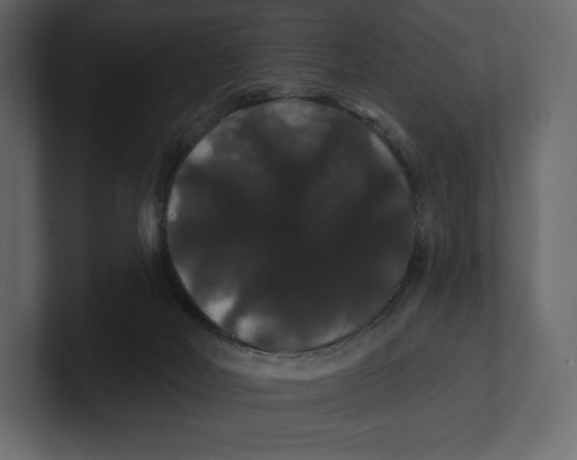 X0000100890026200807151106