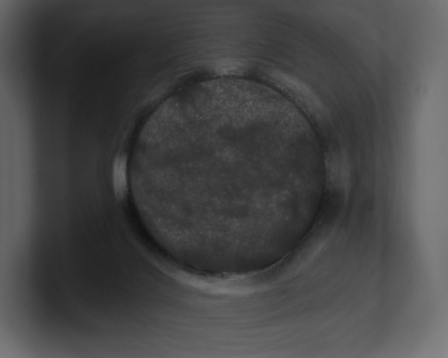 X0000100890028200807151106